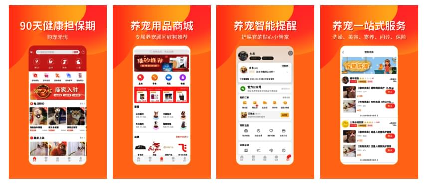 PG官方科技软件公司